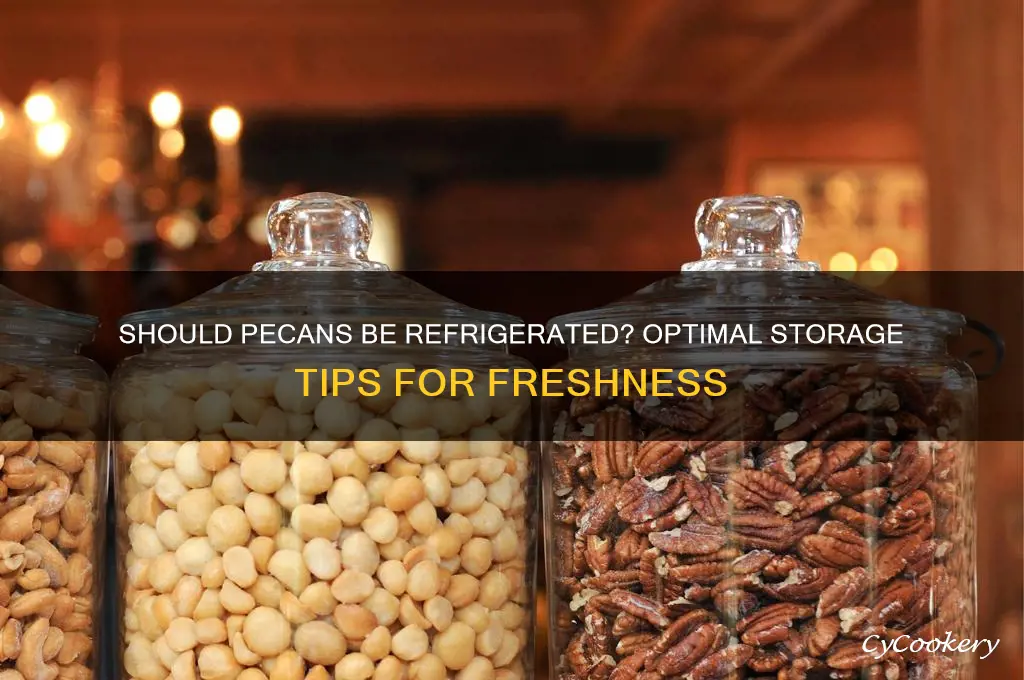 should pecans be stored in the refrigerator