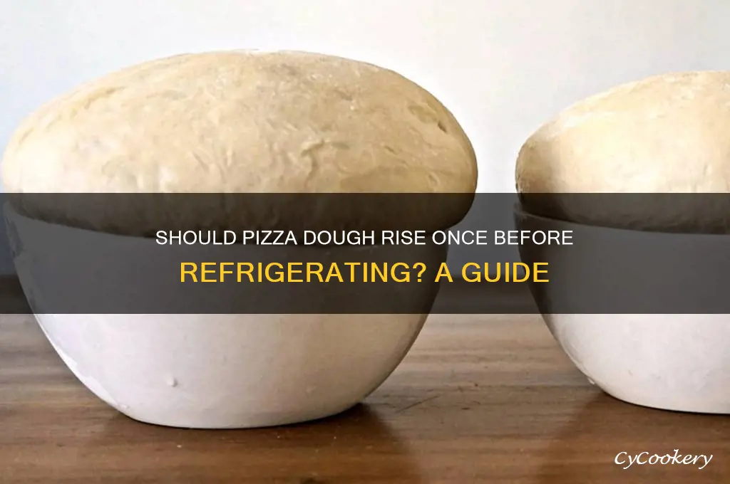 should pizza dough rise once begore refrigerating