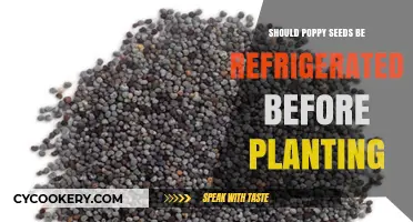 Refrigerating Poppy Seeds: Essential Pre-Planting Step or Unnecessary Hassle?
