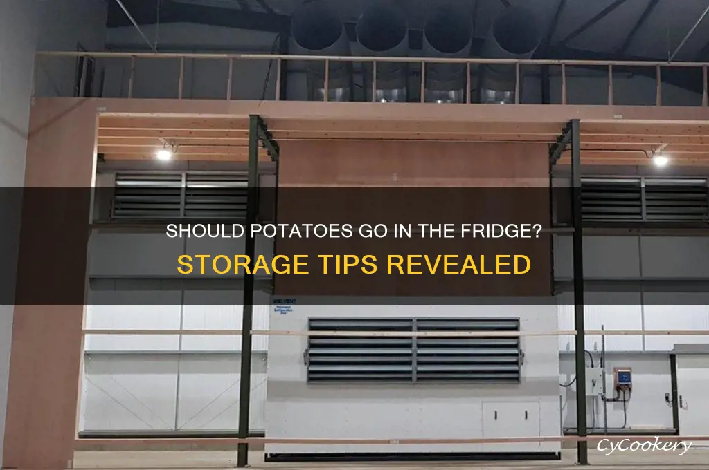 should potatoes be kept in the refrigerator