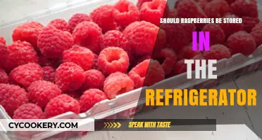 Should Raspberries Be Refrigerated? Optimal Storage Tips for Freshness