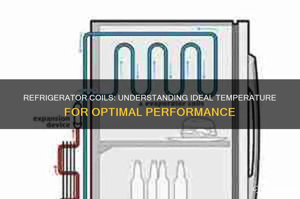 should refrigerator coils be hot or cold