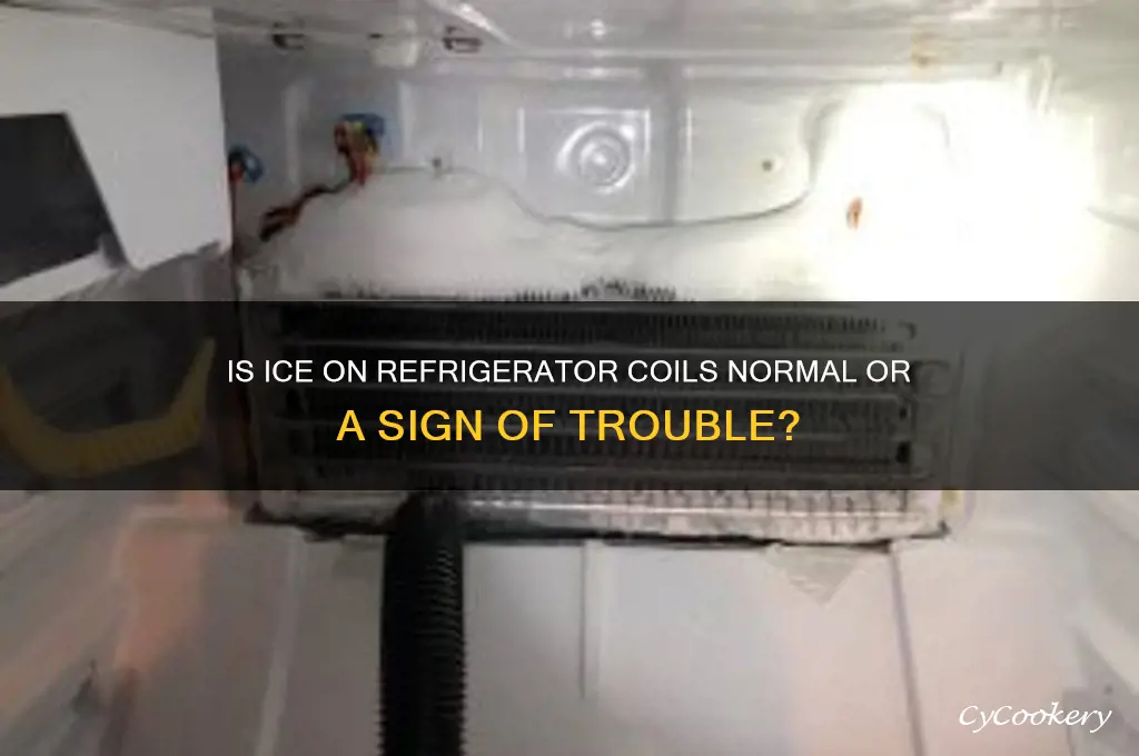 should refrigerator coils have ice on them