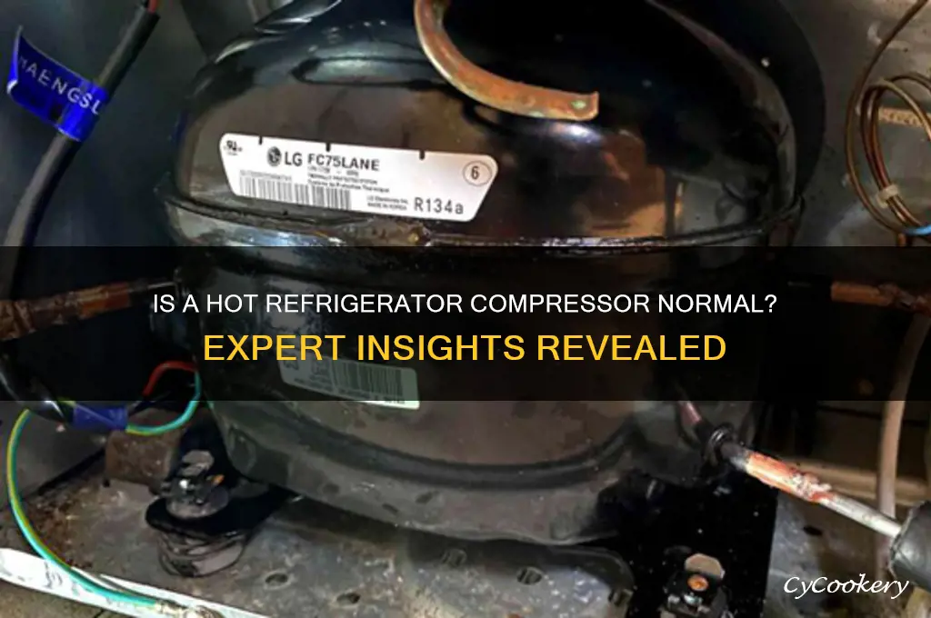 should refrigerator compressor be hot to touch