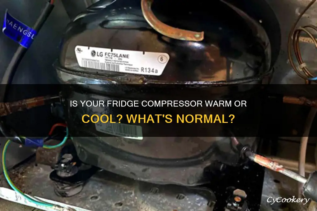 should refrigerator compressor be warm or cool