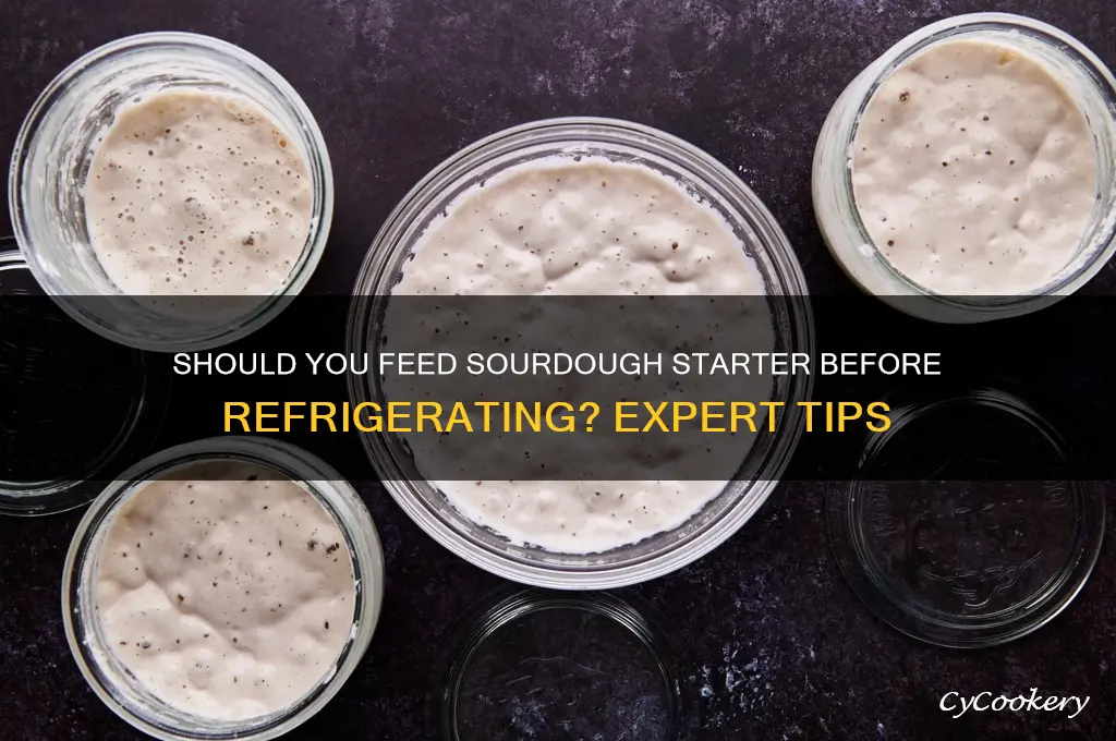 should sourdough starter be fed before refrigerating