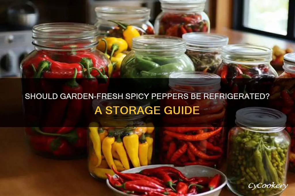 should spicy peppers from garden be refrigerated