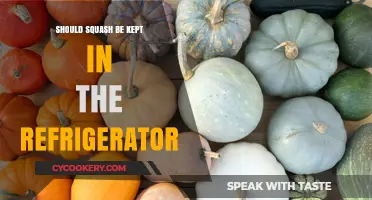 Should Squash Be Refrigerated? Optimal Storage Tips for Freshness
