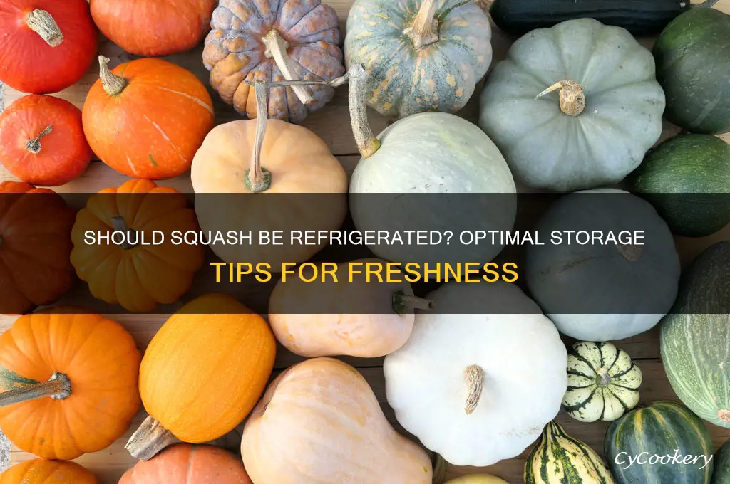 should squash be kept in the refrigerator