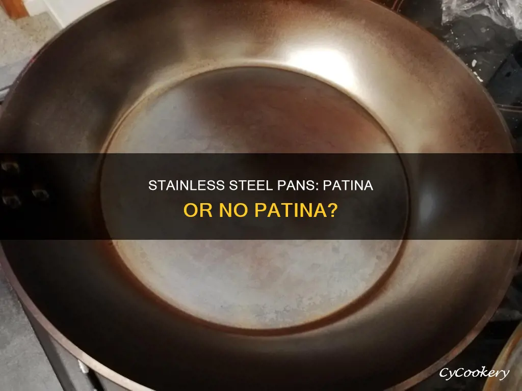 should stainless steel pans have a patina