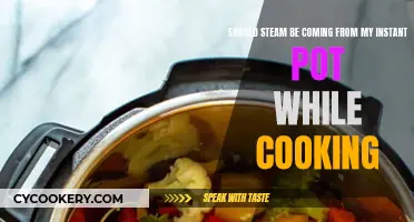 Instant Pot Steam: Normal or Not?