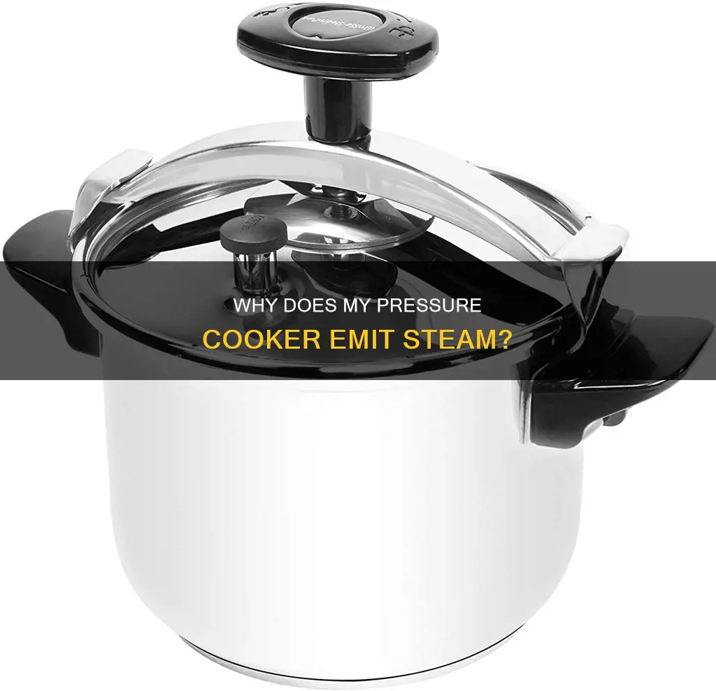 should steam be coming from my pressure cooker