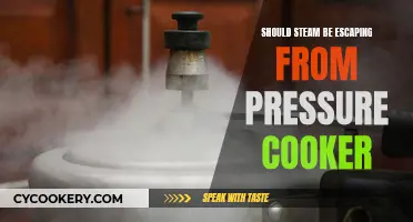 Steam Escaping From Your Pressure Cooker: Safe or Not?