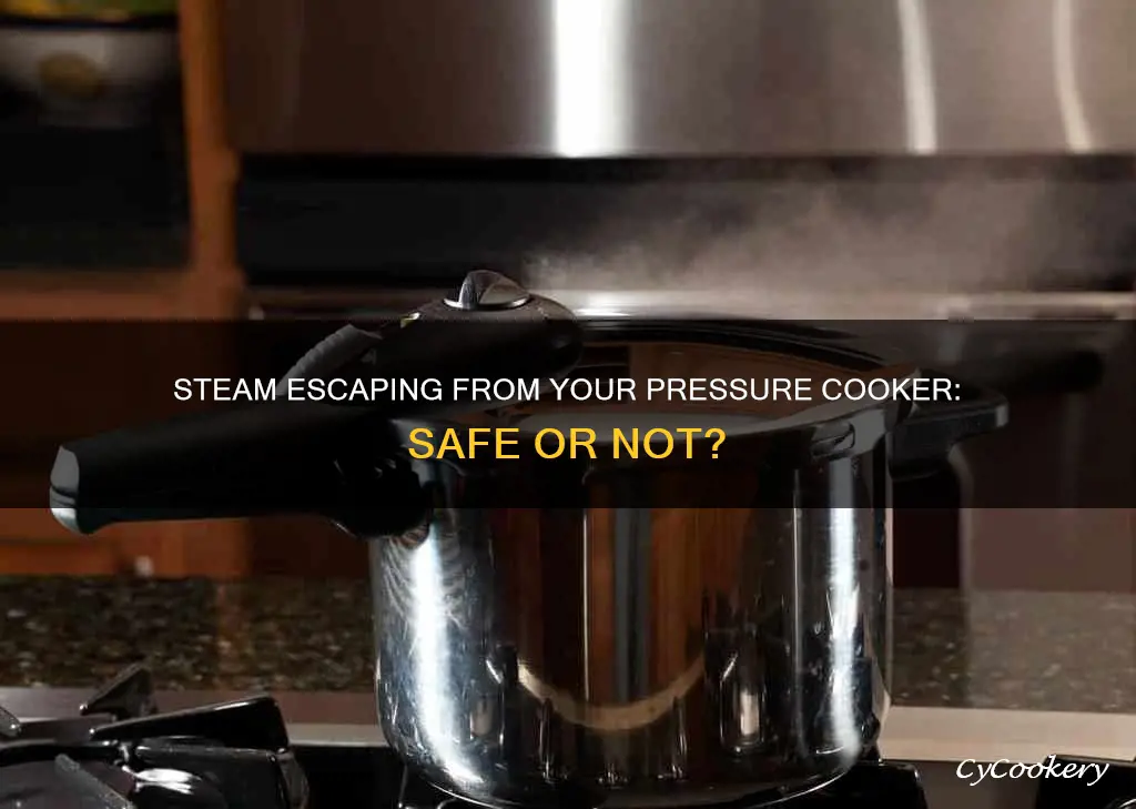 should steam be escaping from pressure cooker