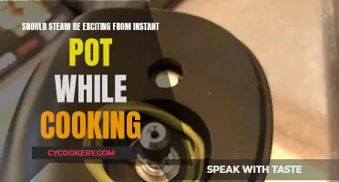 Steam Release: Instant Pot Cooking Safety and Excitement