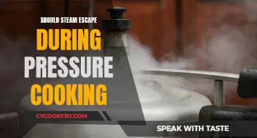 Steam Escape: Pressure Cooking's Do's and Don'ts