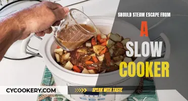 Steam Escape from Slow Cooker: What You Need to Know