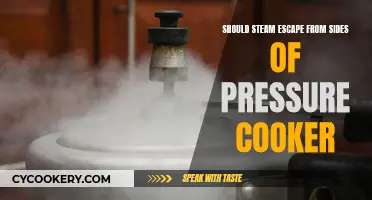 Steam Escape from Sides of Pressure Cooker: Safe or Not?