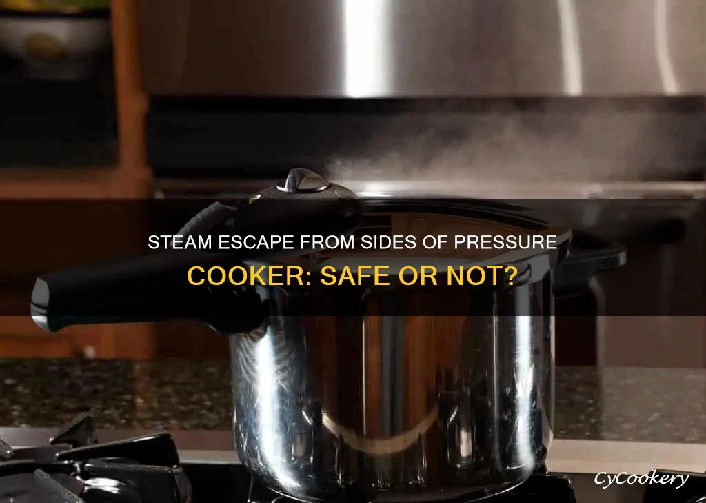 should steam escape from sides of pressure cooker