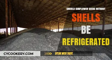 Should Shell-Free Sunflower Seeds Be Refrigerated? Storage Tips Revealed