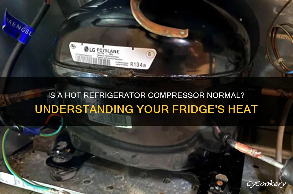 should the compressor on my refrigerator be hot