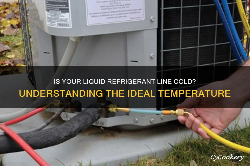 should the liquid refrigerant line is cold