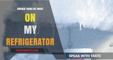 Frost on Your Fridge: Normal or Cause for Concern?