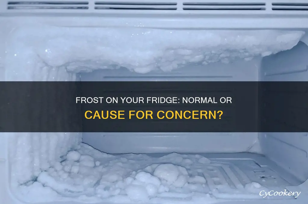 should there be frost on my refrigerator