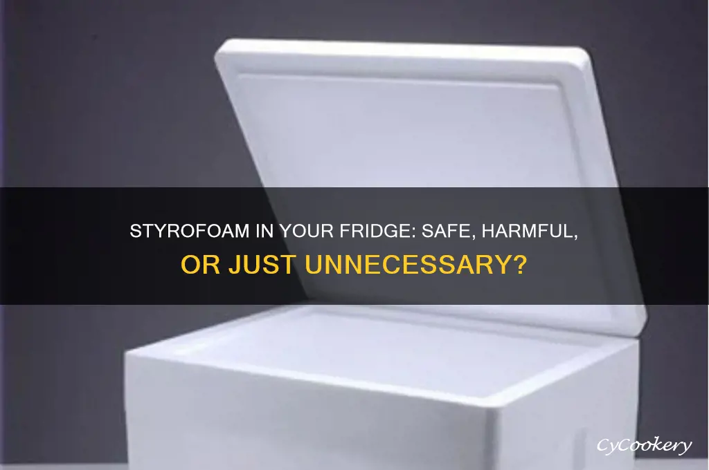 should there be styrofoam in my refrigerator