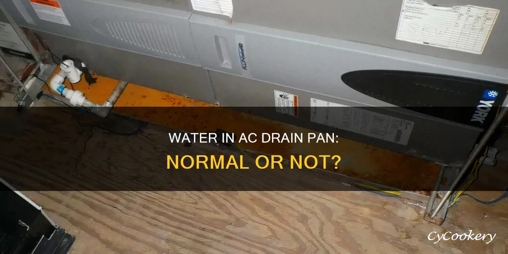 should there be water in ac drain pan