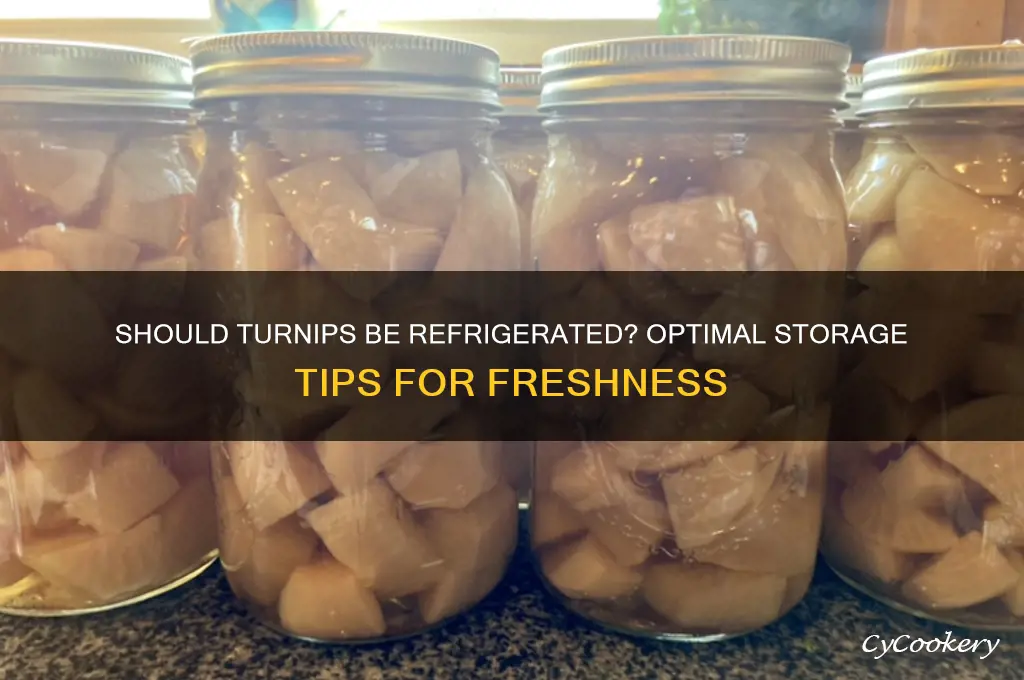 should turnips be stored in the refrigerator