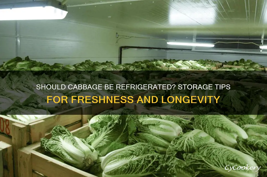 should vabbage be kept in the refrigerator
