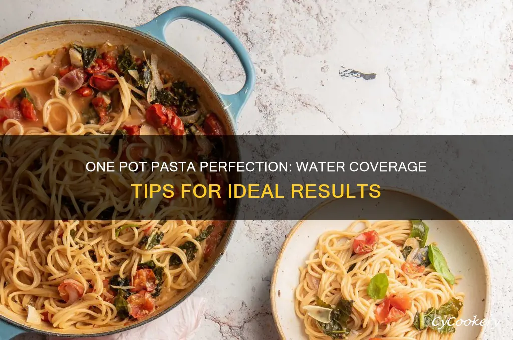 should water cover the pasta in one pot cooking