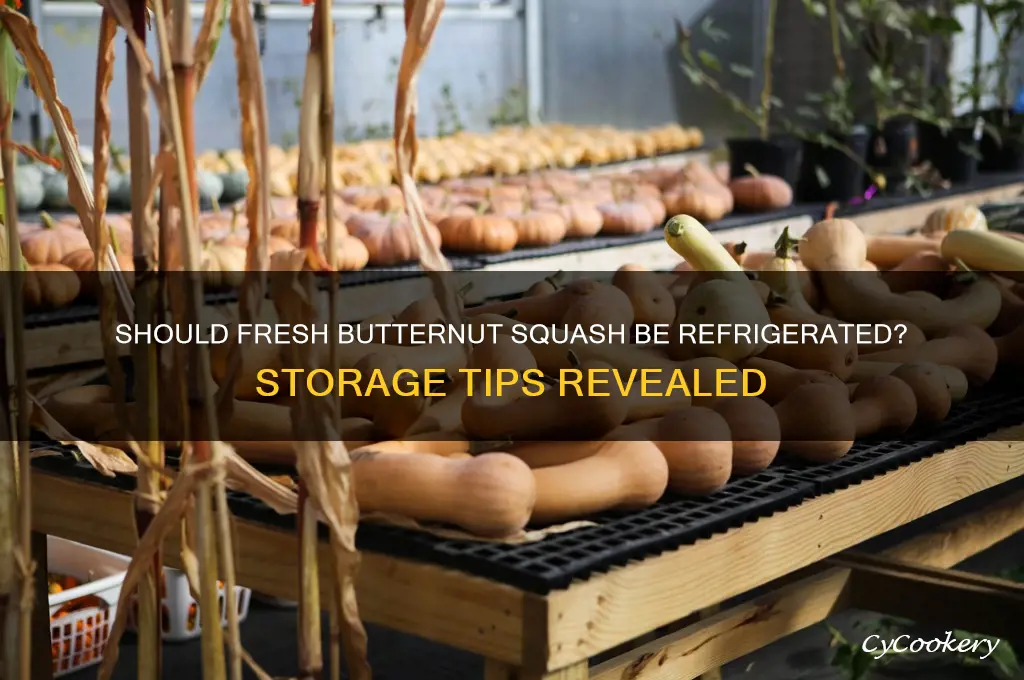 should whole fresh butternut squash be refrigerated