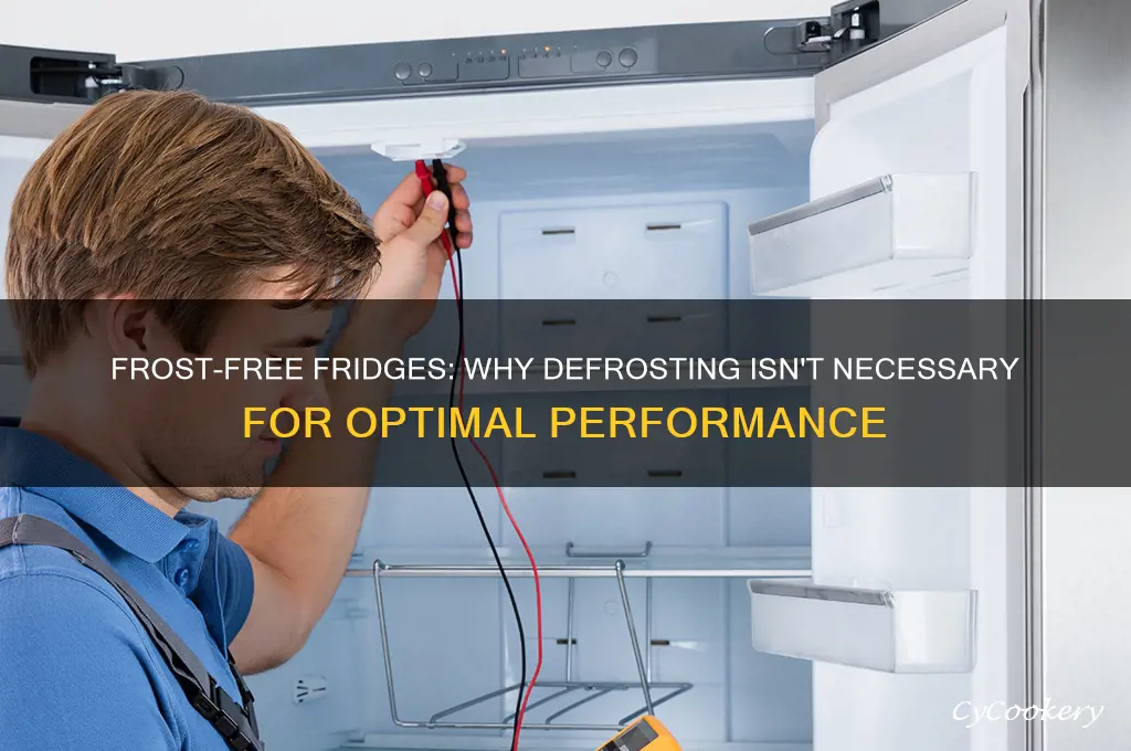 should you defrost a frost free refrigerator