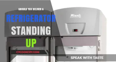 Should You Deliver a Refrigerator Standing Up? Expert Tips