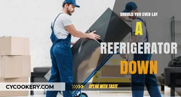 Should You Lay a Refrigerator Down? Expert Tips and Risks