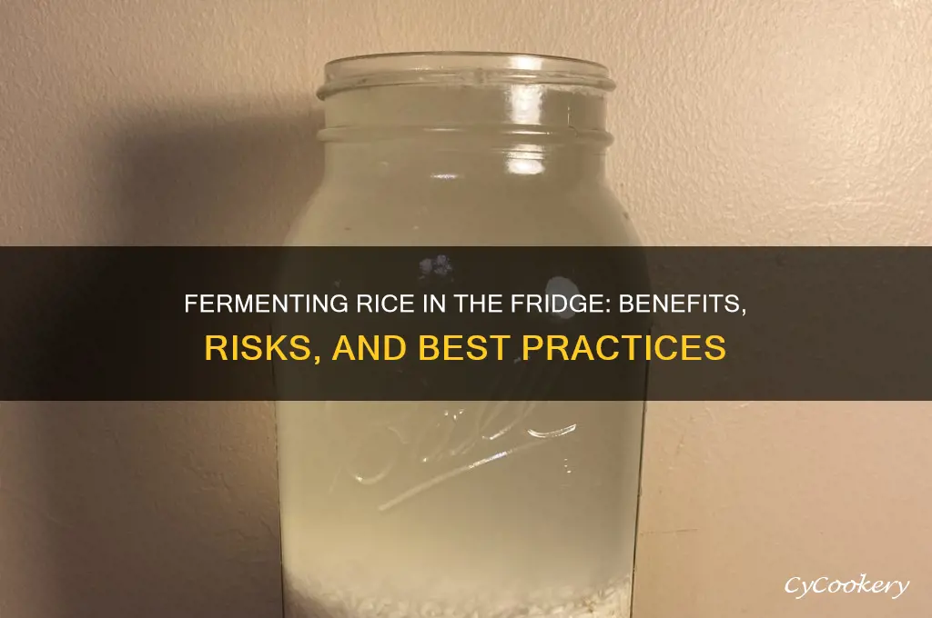 should you ferment rice in the refrigerator