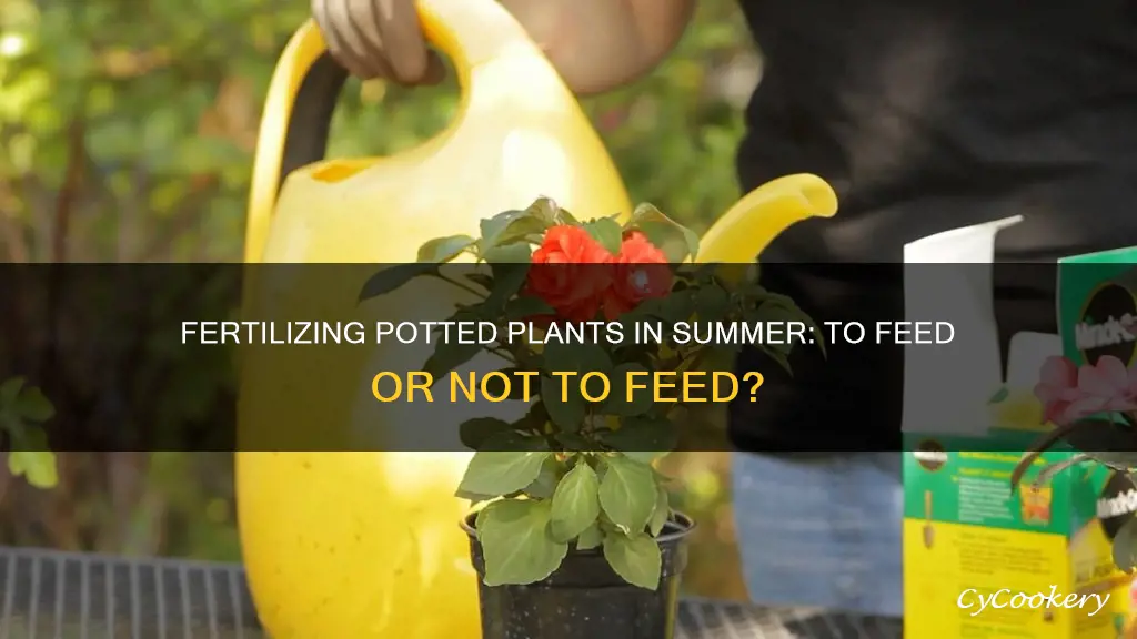 should you fertilize potted plants in hot weather