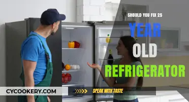 Repair or Replace: Is Your 25-Year-Old Fridge Worth Fixing?
