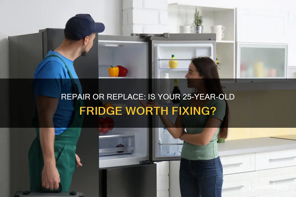 should you fix 25 year old refrigerator