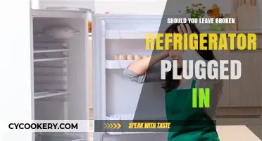 Should You Leave a Broken Refrigerator Plugged In? Risks and Advice