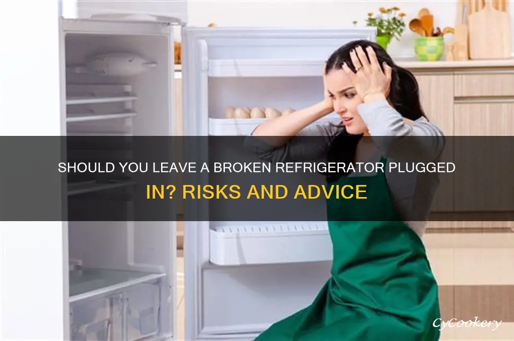 should you leave broken refrigerator plugged in