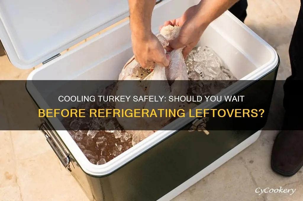 should you let turkey cool before refrigerating