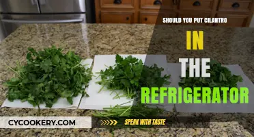 Should You Refrigerate Cilantro? Best Storage Tips for Freshness