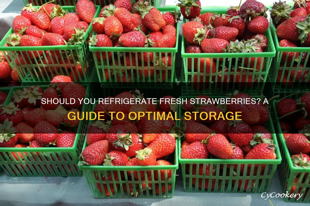 should you put fresh strawberries in the refrigerator
