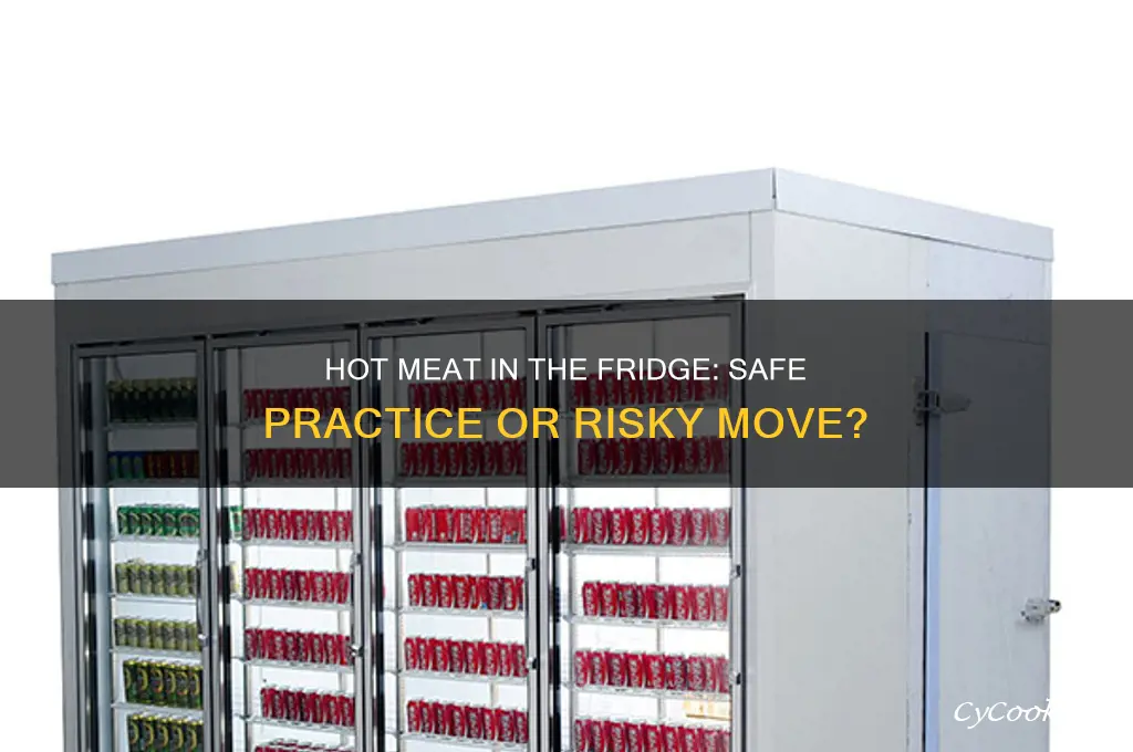 should you put hot meat in refrigerator