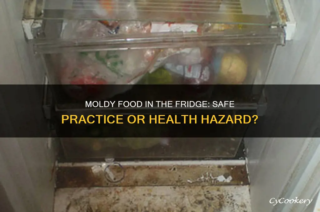 should you put moldy food in refrigerator