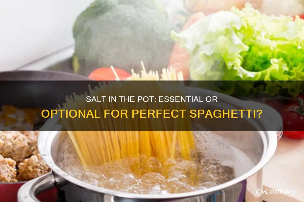should you put salt in pot when cooking spaghetti