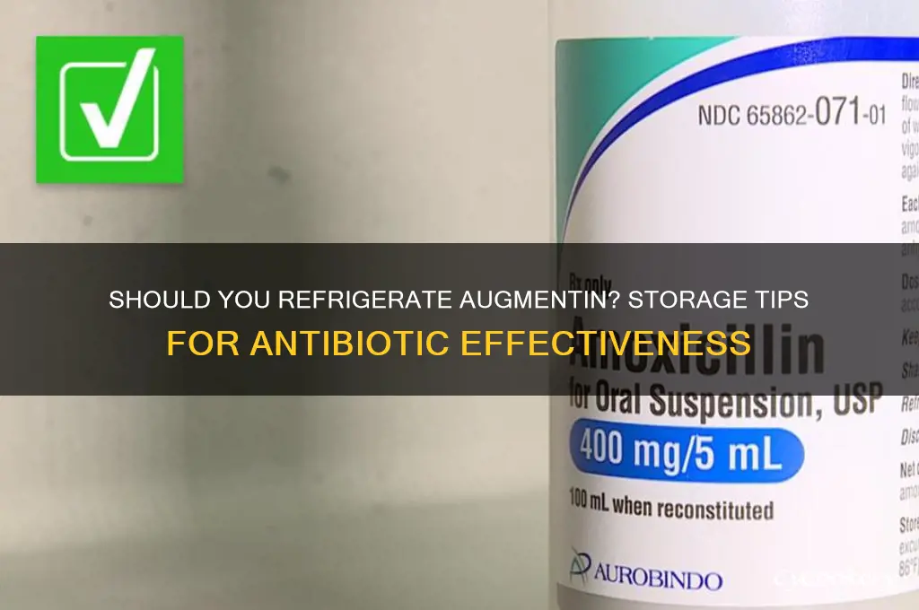 should you refrigerate augmentin in the fridge